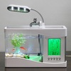 Best Small Fish Tank-Best O... - Best Online Stuffs