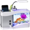 Small Plastic Fish Tank-Bes... - Best Online Stuffs