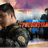 Ang Probinsyano - pinoylambingan