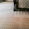 Hippo Carpet Cleaning Sprin... - Hippo Carpet Cleaning Sprin...