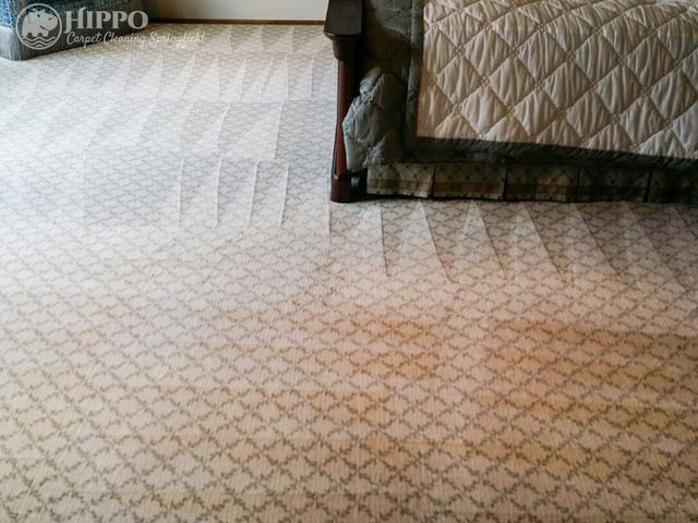 Hippo Carpet Cleaning Springfield | Carpet Cleaner Hippo Carpet Cleaning Springfield | Carpet Cleaners Springfield