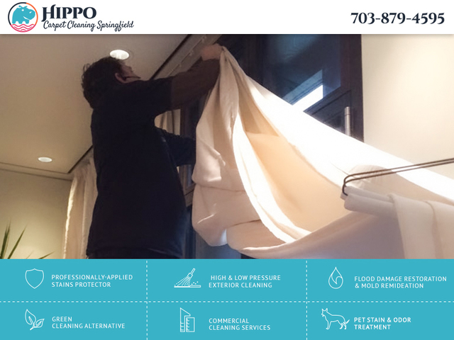 Hippo Carpet Cleaning Springfield | Carpet Cleaner Hippo Carpet Cleaning Springfield | Carpet Cleaners Springfield