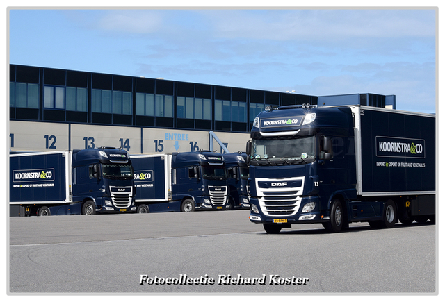 Koornstra & Co Line-up (4)-BorderMaker Richard