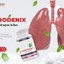 1 - Clerodenix