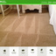 UCM Carpet Cleaning Jersey ... - UCM Carpet Cleaning Jersey City | Carpet Cleaning Jersey City