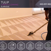 Tulip Carpet Cleaning Elkri... - Tulip Carpet Cleaning Elkri...