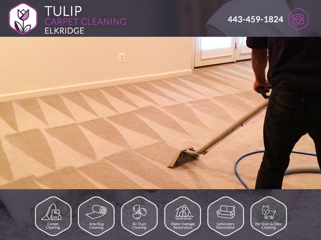Tulip Carpet Cleaning Elkridge | Carpet Cleaning E Tulip Carpet Cleaning Elkridge | Carpet Cleaning Elkridge
