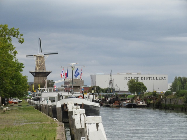 IMG 9693 Rotterdam