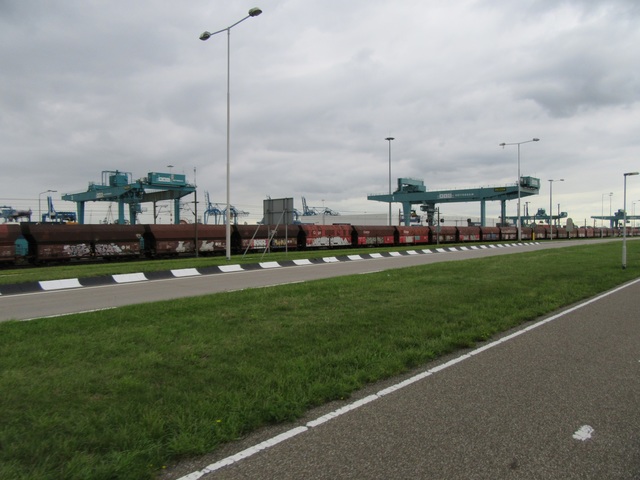 IMG 9705 Rotterdam