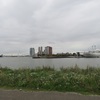 IMG 9714 - Rotterdam