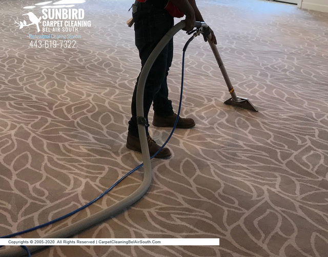 Sunbird Carpet Cleaning Bel Air South | Carpet Cle Sunbird Carpet Cleaning Bel Air South | Carpet Cleaning Bel Air South