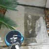 Sunbird Carpet Cleaning Bel... - Sunbird Carpet Cleaning Bel...