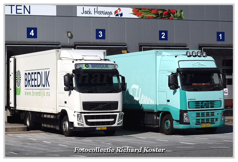 Breedijk 77-BBJ-5 & D.L - Richard