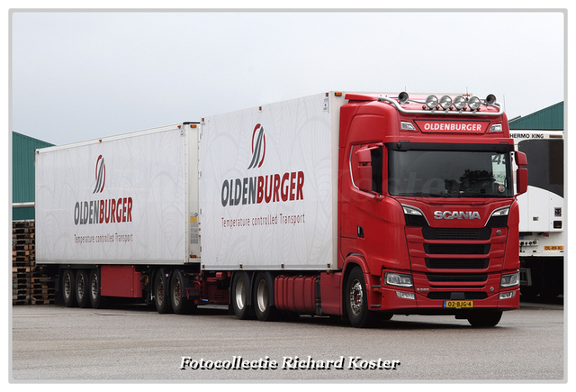 Oldenburger 02-BJG-4 (0)-BorderMaker Richard