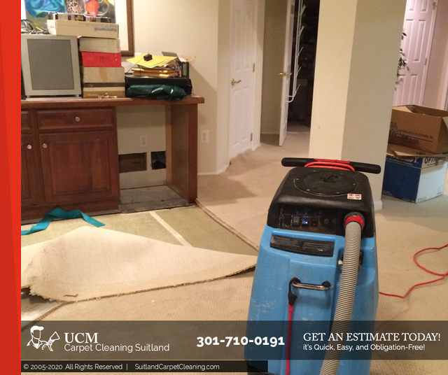 UCM Carpet Cleaning Suitland UCM Carpet Cleaning Suitland | Carpet Cleaning Suitland