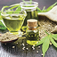 Canadian Extracts Hemp Oil ... - Picture Box