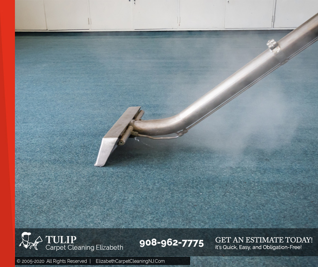 Tulip Carpet Cleaning Elizabeth | Carpet Cleaning  Tulip Carpet Cleaning Elizabeth | Carpet Cleaners Elizabeth