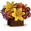 Hatboro PA Florist - Flowers in Hatboro