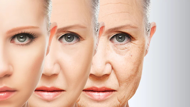 Essentials Spa Picture Box