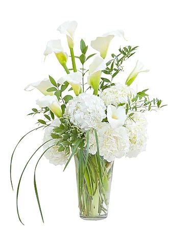 Decatur IL New Baby Flowers Florist in Decatur, IL