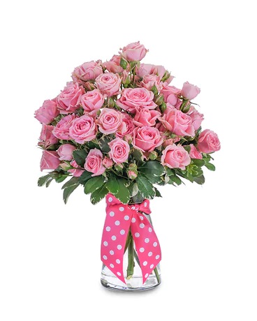 Get Well Flowers Mankato MN Flower Delivery in Skyline, MN