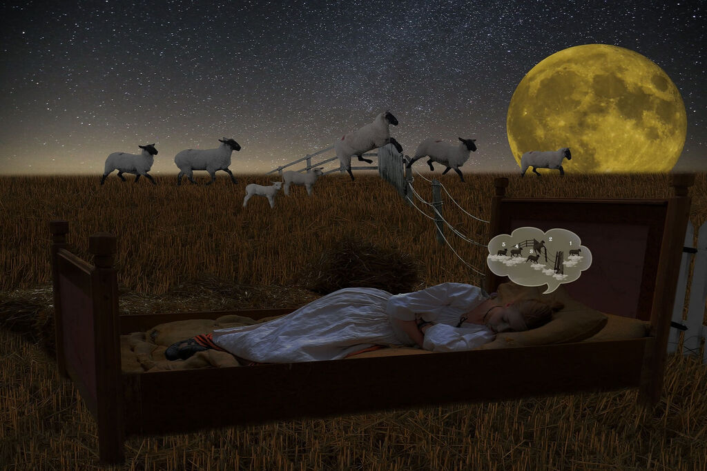insomnia Picture Box