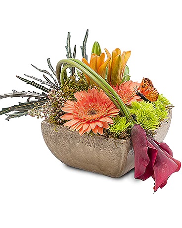 Get Flowers Delivered Mankato MN Flower delivery in Mankato, MN