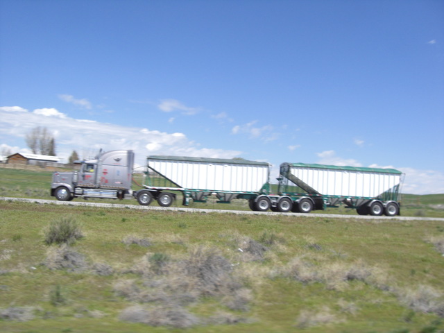 CIMG1169 Trucks