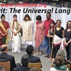 Sanskrit: The Universal Lan... - Picture Box