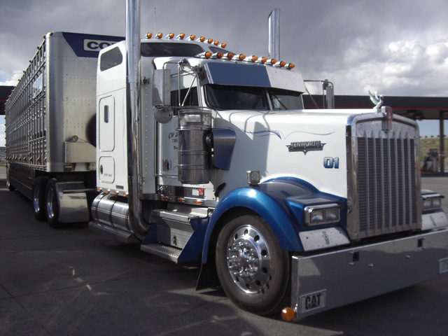 CIMG1267 Trucks