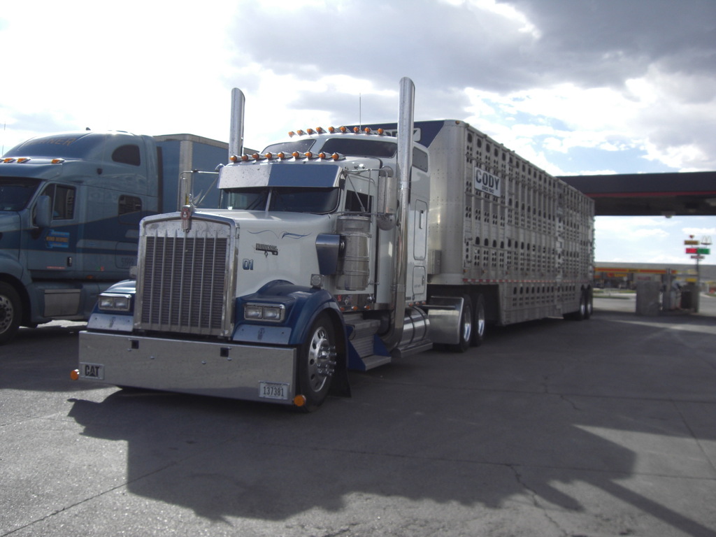 CIMG1265 - Trucks