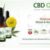Annabiol Cbd Oil