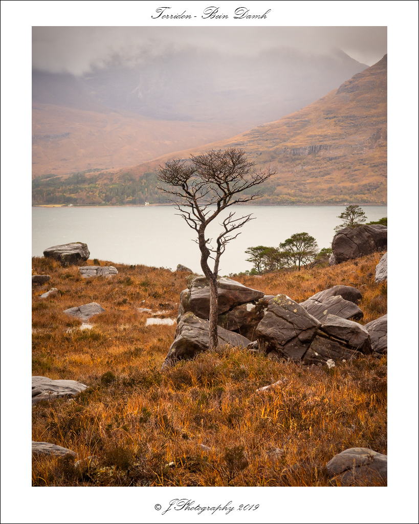  DSC1088 Torridon Bein Damh - 