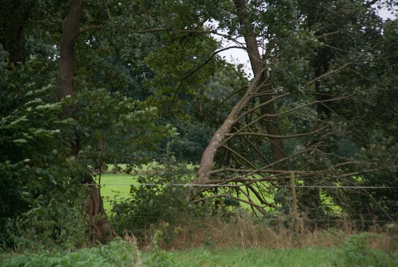 119706402 988605974948986 4359597027948845591 n - 