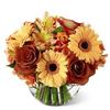 Flower Delivery in Burlingt... - Flower delivery in Burlington