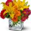 Flower Shop Burlington ON - Flower delivery in Burlington