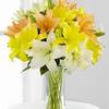 Flower Shop in Burlington ON - Flower delivery in Burlington