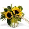 Next Day Delivery Flowers B... - Flower delivery in Burlington