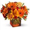 Florist Burlington ON - Flower delivery in Burlington