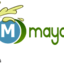 mayonez.net logo - Picture Box