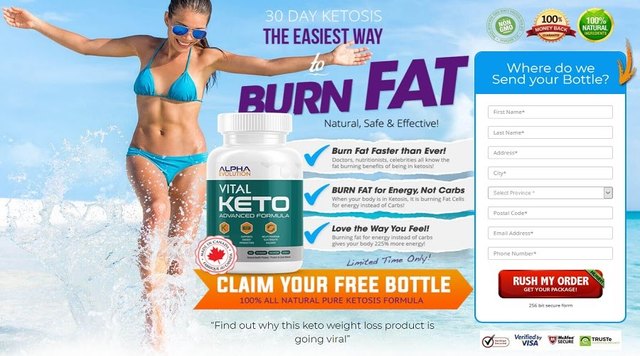 Alpha Evolution Vital Keto Reviews: Do They Works  Picture Box