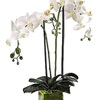Funeral Flowers Palm Spring... - Flower delivery in Palm Spr...