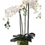 Funeral Flowers Palm Spring... - Flower delivery in Palm Springs Florist Inc