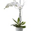 Sympathy Flowers Palm Sprin... - Flower delivery in Palm Springs Florist Inc