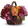 Christmas Flowers Princeton NJ - Flower Delivery in Princeto...
