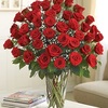 Flower Shop Princeton NJ - Flower Delivery in Princeto...