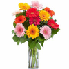 Next Day Delivery Flowers C... - Flower delivery in Calgary, AB