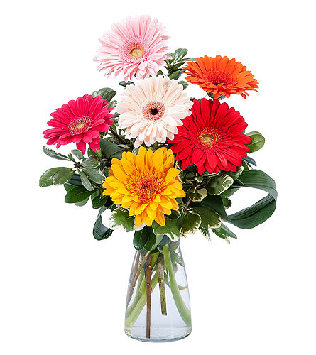 Mothers Day Flowers New Milford NJ Florist in New Milford, NJ