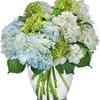 Flower Delivery in Springfi... - Flower delivery in Springfield