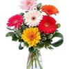 Flower Delivery Springfield MO - Flower delivery in Springfield